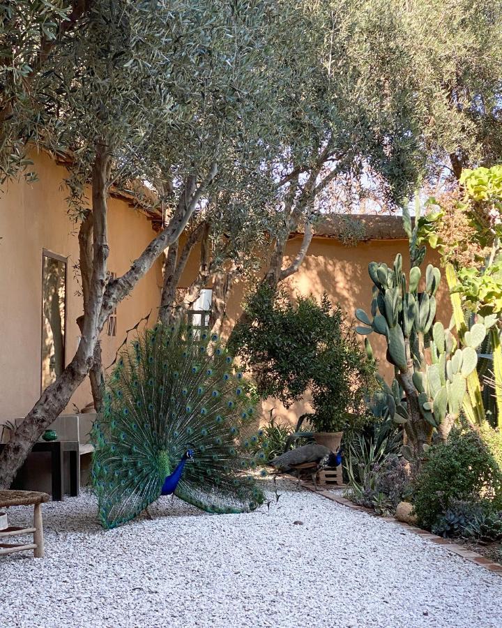 Hotel Dar Al Hossoun Taroudant Exteriér fotografie